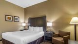 Comfort Inn Opelika - Auburn Room