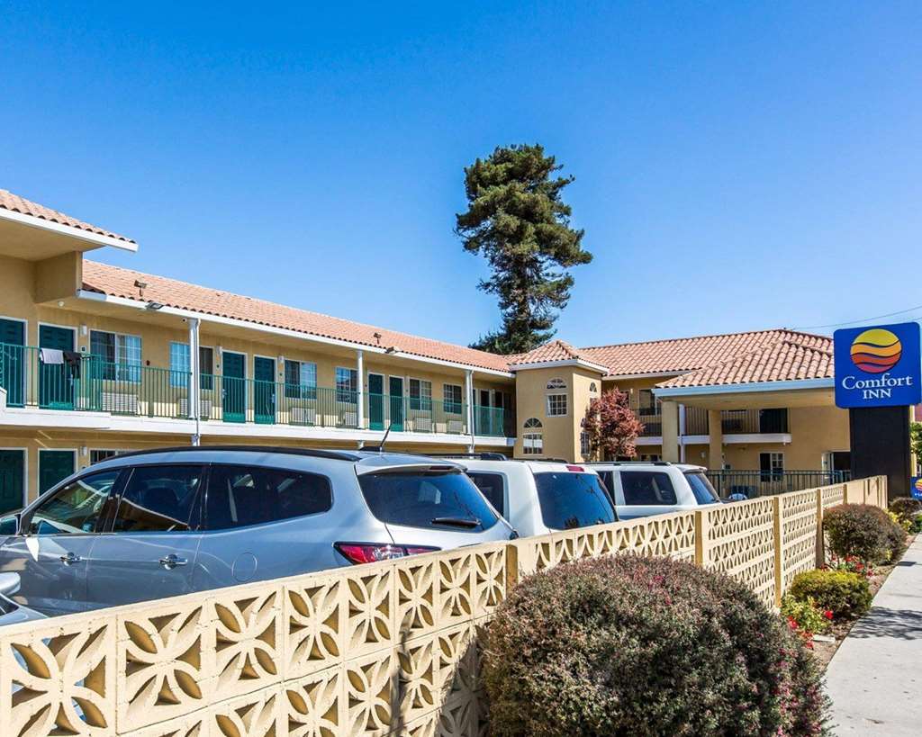 Find Hotels Near Carousel Beach Inn Santa Cruz CA Hotels