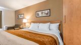 Comfort Inn Room