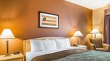 Quality Inn & Suites Loveland Room