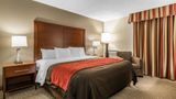 Comfort Inn & Suites Northeast Room