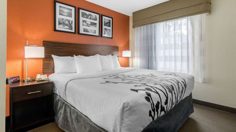 <b>Sleep Inn Room</b>. Images powered by <a href="https://iceportal.shijigroup.com/" title="IcePortal" target="_blank">IcePortal</a>.