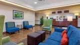 Comfort Inn & Suites Airport Lobby