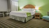 <b>Rodeway Inn & Suites Winter Haven Room</b>. Images powered by <a href="https://iceportal.shijigroup.com/" title="IcePortal" target="_blank">IcePortal</a>.