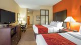 Comfort Suites Golden Isle Gateway Room