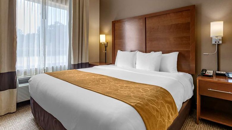 <b>Comfort Suites Room</b>. Images powered by <a href="https://iceportal.shijigroup.com/" title="IcePortal" target="_blank">IcePortal</a>.
