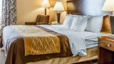 Quality Inn & Suites - Mount Pleasant Room