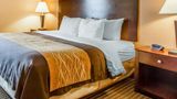 Quality Inn & Suites - Mount Pleasant Suite