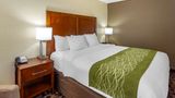 Comfort Inn & Suites Chicago/Aurora Room