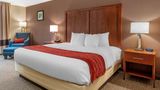 Comfort Inn & Suites Room