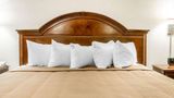 Quality Inn & Suites Mackinaw City Room