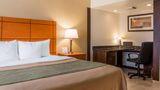 Comfort Inn Metro Airport Room