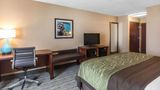 Comfort Inn Bay City-Riverfront Room