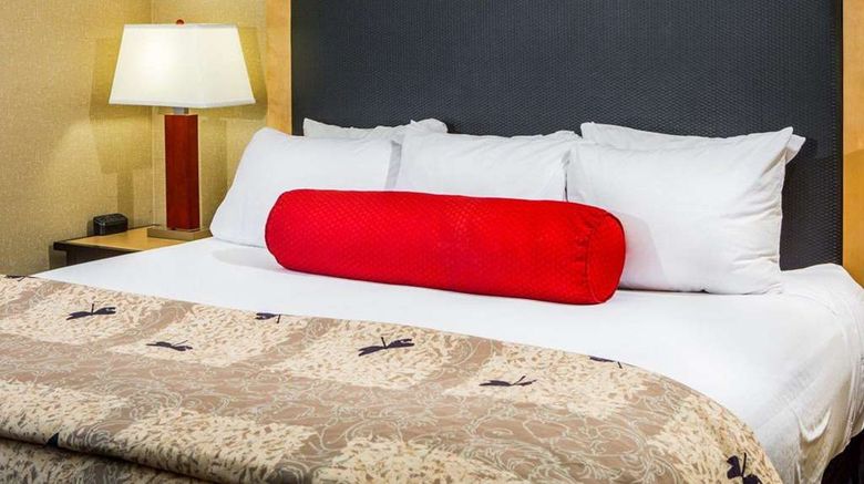 <b>Cambria hotel & suites Traverse City Room</b>. Images powered by <a href="https://iceportal.shijigroup.com/" title="IcePortal" target="_blank">IcePortal</a>.
