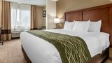 Comfort Inn & Suites of Lansing Suite