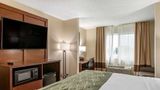 Comfort Inn & Suites of Lansing Suite