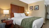 Comfort Inn & Suites of Lansing Room
