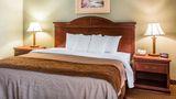 Quality Inn & Suites Ann Arbor Hwy 23 Suite