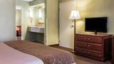Quality Inn & Suites Ann Arbor Hwy 23 Room