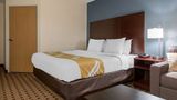 Quality Inn & Suites New Prague Room
