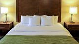 Comfort Inns & Suites Room