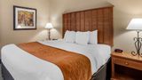 Comfort Inn & Suites Room