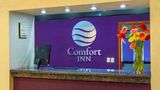 Comfort Inn Cordoba Lobby