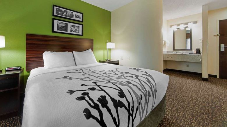 <b>Sleep Inn & Suites Airport Room</b>. Images powered by <a href="https://iceportal.shijigroup.com/" title="IcePortal" target="_blank">IcePortal</a>.