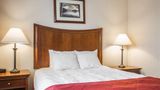 <b>Clarion Inn & Suites at the Outlets Suite</b>. Images powered by <a href="https://iceportal.shijigroup.com/" title="IcePortal" target="_blank">IcePortal</a>.