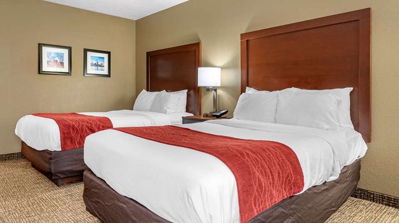 <b>Comfort Inn & Suites Eastgate Cincinnati Room</b>. Images powered by <a href="https://iceportal.shijigroup.com/" title="IcePortal" target="_blank">IcePortal</a>.