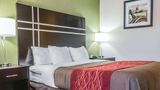 Comfort Inn & Suites Maumee/Toledo Room