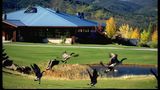 Mount Shasta Resort Golf