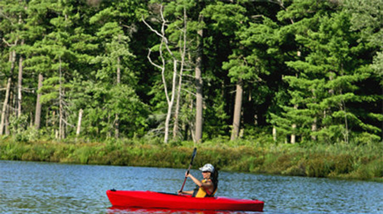 The Lodge at Woodloch Other