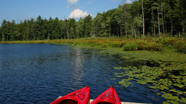 The Lodge at Woodloch Other