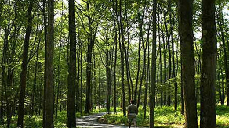The Lodge at Woodloch Recreation
