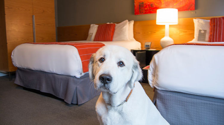 Hotel Max Room