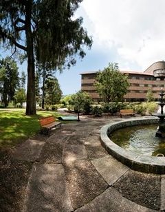 Movich Hotel Las Lomas