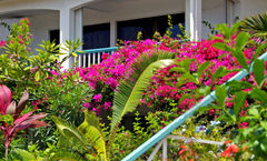 Grand Case Beach Club