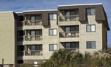 Ocean Forest Colony
