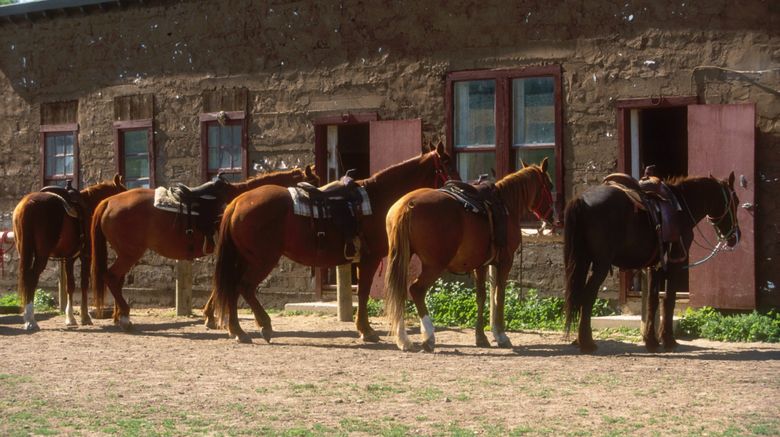 <b>The Ranch at Ucross Other</b>. Images powered by <a href="https://www.leonardoworldwide.com/" title="Leonardo Worldwide" target="_blank">Leonardo</a>.