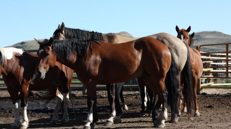 <b>The Ranch at Ucross Other</b>. Images powered by <a href="https://www.leonardoworldwide.com/" title="Leonardo Worldwide" target="_blank">Leonardo</a>.