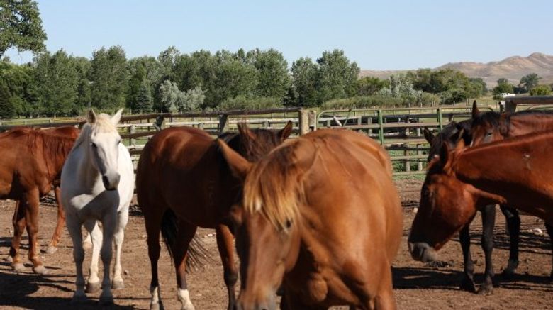 <b>The Ranch at Ucross Other</b>. Images powered by <a href="https://www.leonardoworldwide.com/" title="Leonardo Worldwide" target="_blank">Leonardo</a>.