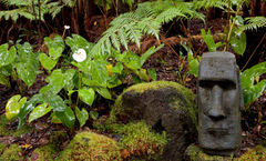 Volcano Village Lodge