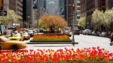 Loews Regency New York Other
