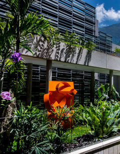 Cayena Caracas
