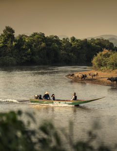 Four Seasons Tented Camp Golden Triangle