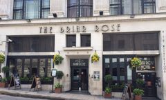 The Briar Rose