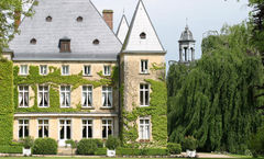 Chateau d'Adomenil