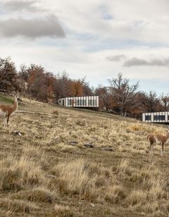 Awasi Patagonia Hotel