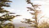 <b>Awasi Patagonia Hotel Exterior</b>. Images powered by <a href="https://leonardo.com/" title="Leonardo Worldwide" target="_blank">Leonardo</a>.